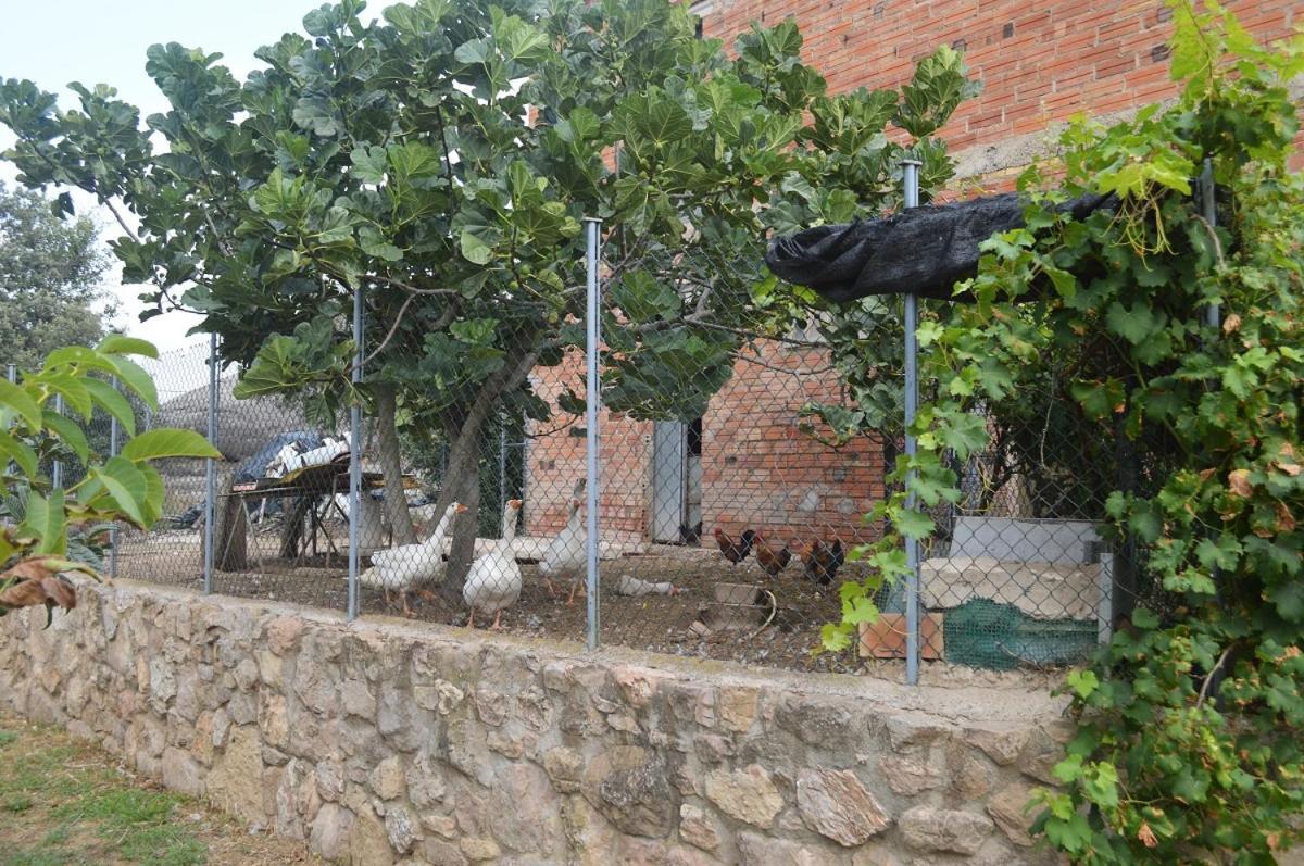 Masoveria La Roca Sagas Exterior photo