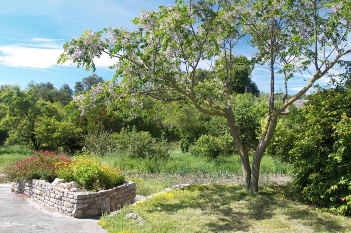 Masoveria La Roca Sagas Exterior photo