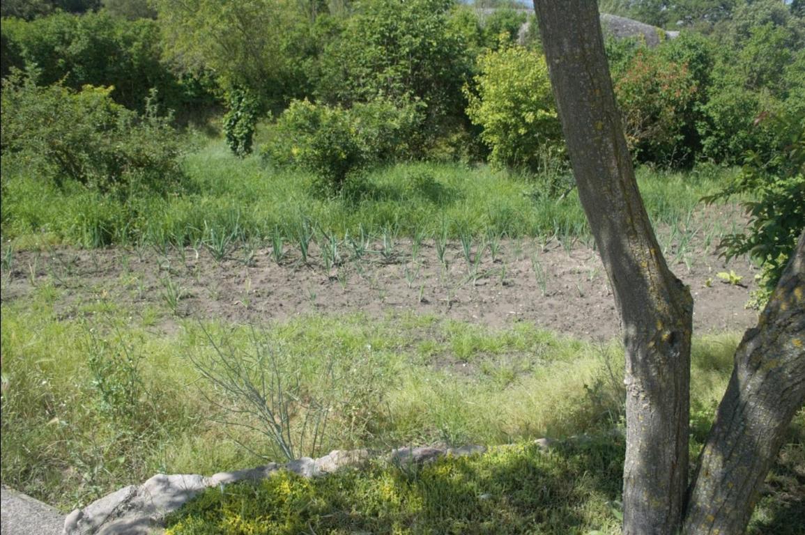 Masoveria La Roca Sagas Exterior photo